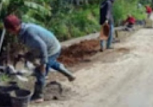 DPU Kabupaten Sukabumi Bangun TPT di Jalan Cibatu–Cihingkik